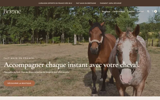 Page d'accueil de briune.fr, boutique sous WordPress